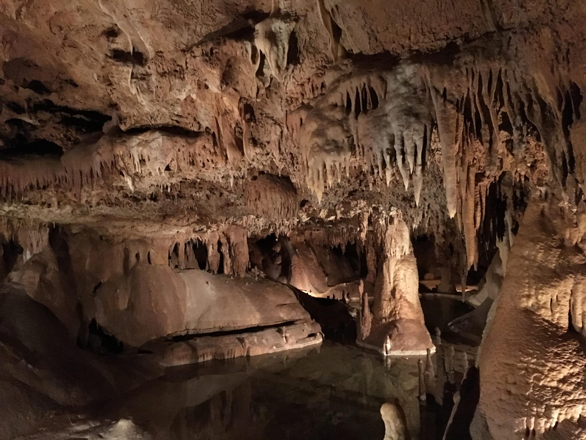 Inner Space Caverns - Brad Fults Georgetown, Texas